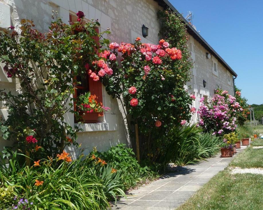 Hotel La Maison Des Fleurs Saint-Senoch Esterno foto